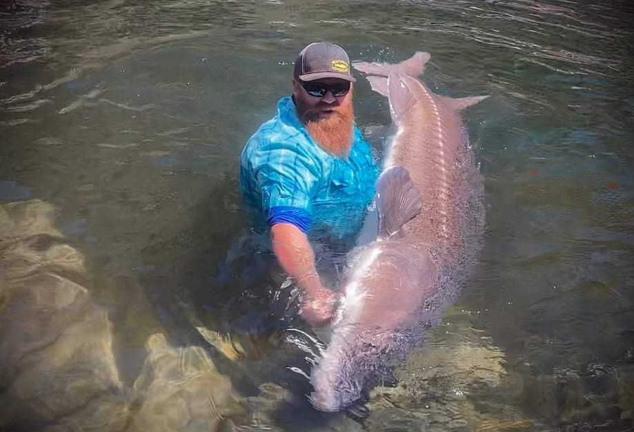 Sturgeon fishing